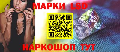 стаф Ставрополь