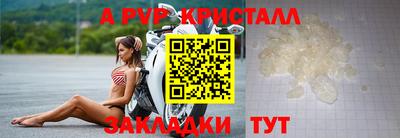 стаф Ставрополь