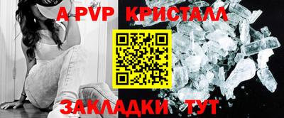 стаф Ставрополь