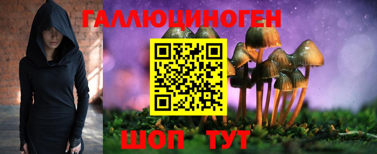 Мариинск  Псилоцибиновые грибы мухоморы  магазин    Вход с VPN 